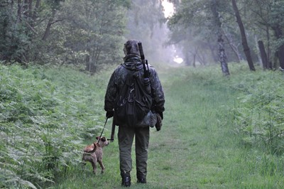 Deer Stalking