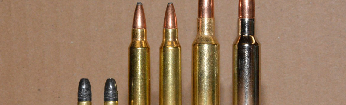 Marksmanship Skills Clinic