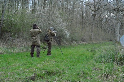 DSC2 Witnessing